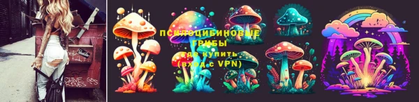винт Алзамай