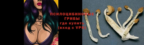 винт Алзамай