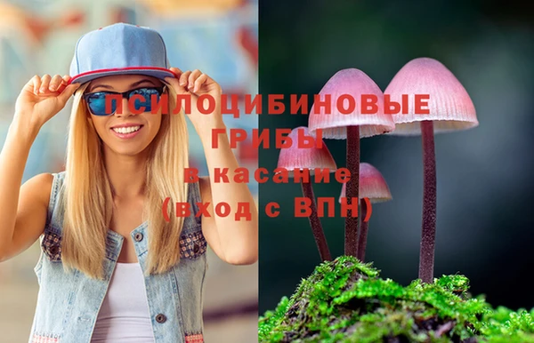 винт Алзамай