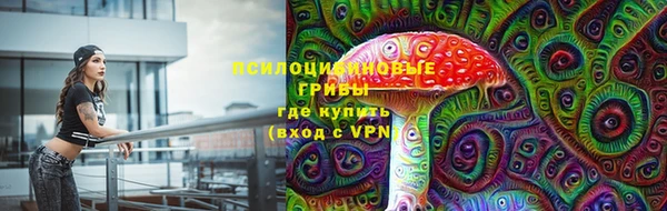 прущий лед Алексин