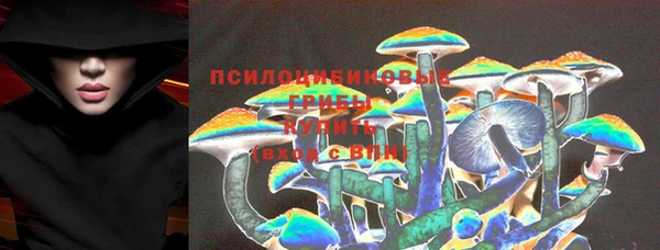 прущий лед Алексин