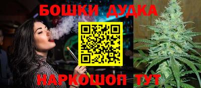 крисы Железноводск