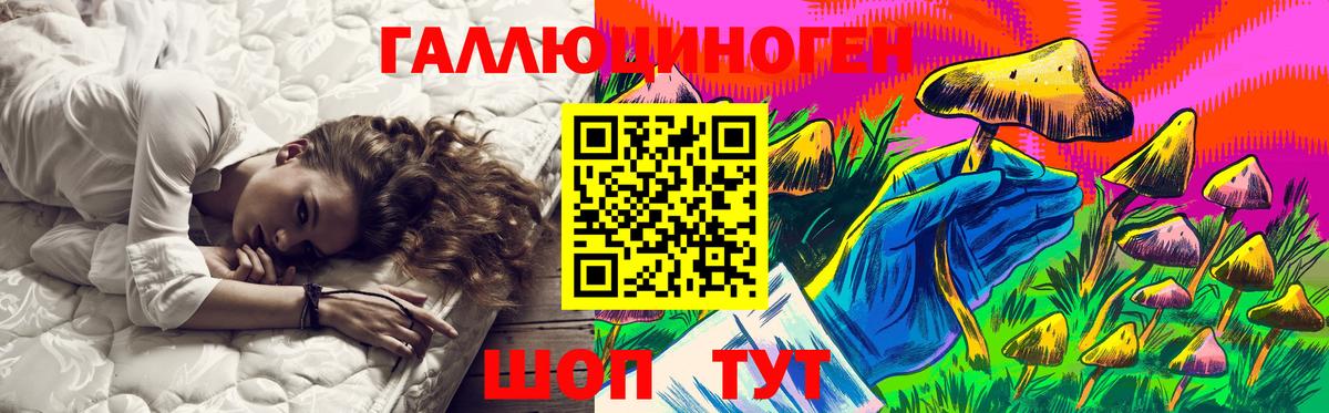 Галлюциногенные грибы Psilocybine cubensis Осинники