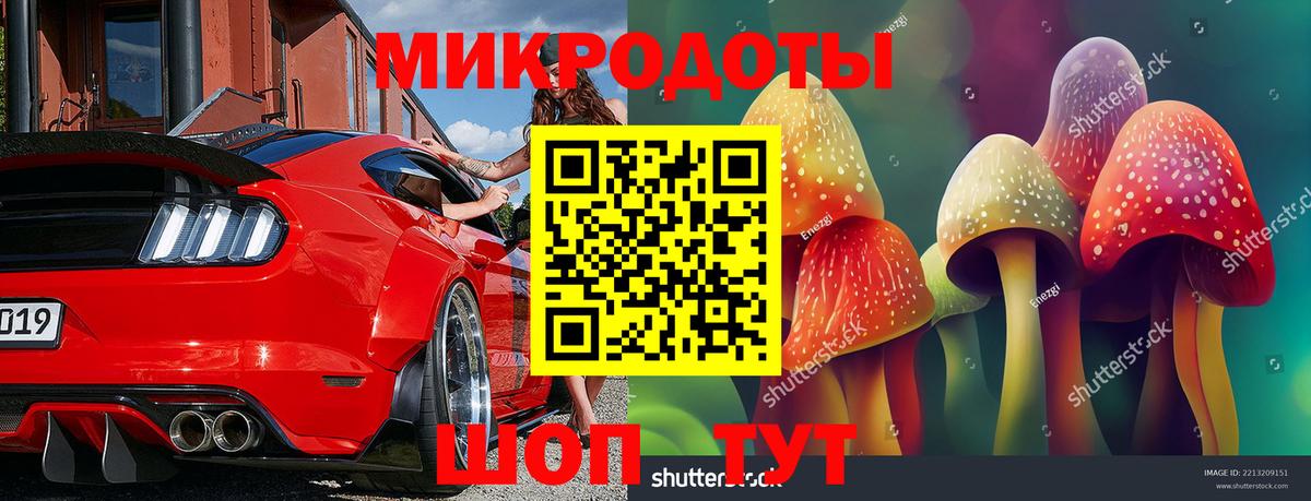 Псилоцибиновые грибы Cubensis  Галлюциногенные грибы GOLDEN TEACHER  Осинники  Вход с VPN 